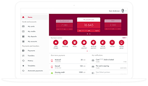 B2C website / portal design